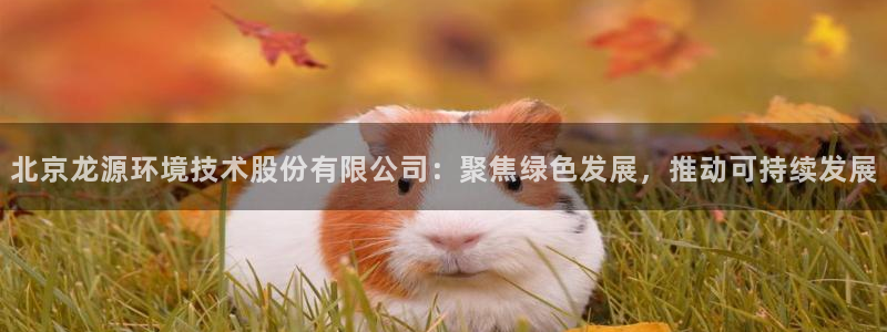 彩名堂幸运飞船计划：北京龙源环境技术