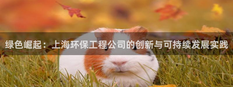 彩名堂预测免费计划app-彩名堂预测