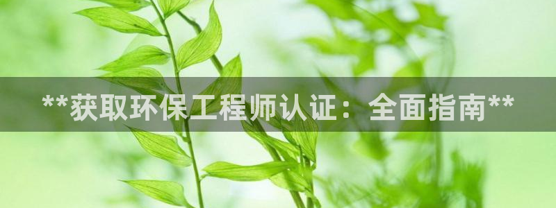 彩名堂人工计划客户端官网：**获取环