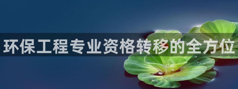 彩名堂app官方网：环保工程专业资格