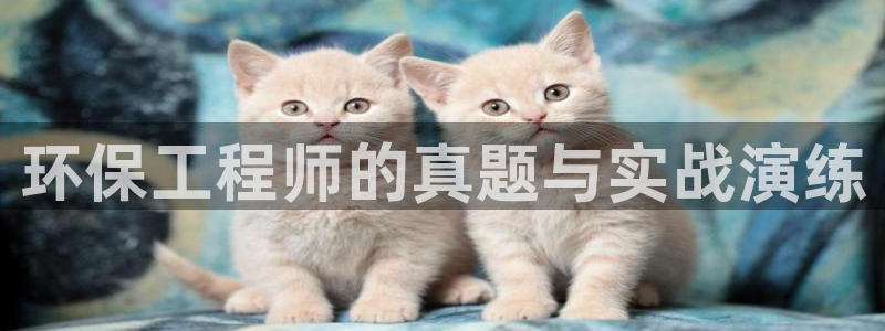 彩名堂人工计划怎么找不到下载了?：环