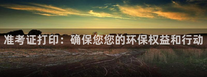 彩名堂预测官网：准考证打印：确保您您