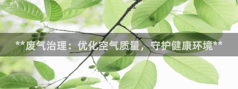 彩名堂官网计划客户端：**废气治理：优化空气质量，守护健康环