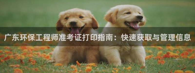 彩名堂开奖结果查询：广东环保工程师准