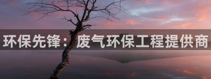 谁知道彩名堂网站是多少：环保先锋：废