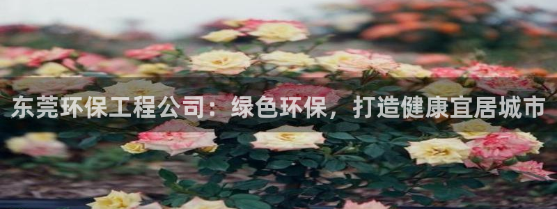 彩名堂苹果版怎么不能用了：东莞环保工