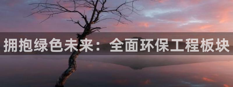 彩名堂跟哪种最好用：拥抱绿色未来：全