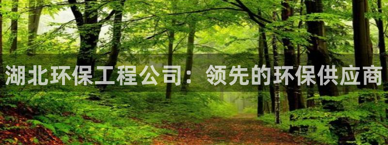 彩名堂人工预测免费计划：湖北环保工程