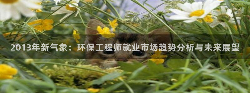 cmt彩名堂：2013年新气象：环保