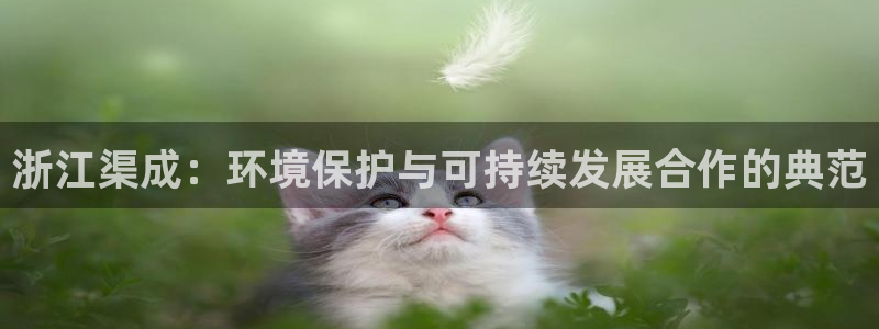 彩名堂怎么跟计划才不连挂呢：浙江渠成