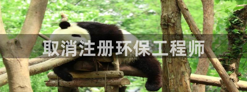 彩名堂是不是坑人的东西：取消注册环保