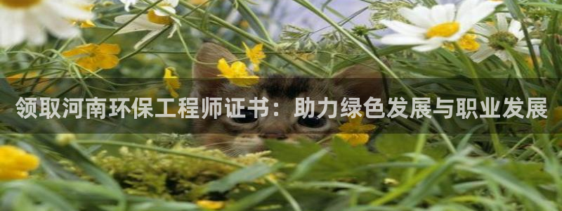 彩名堂官网网页计划：领取河南环保工程