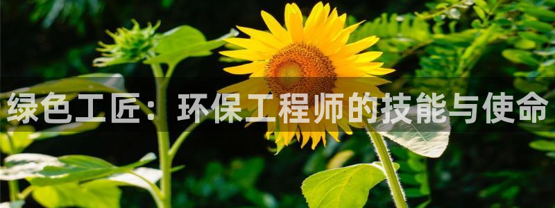 彩名堂计划软件下载：绿色工匠：环保工