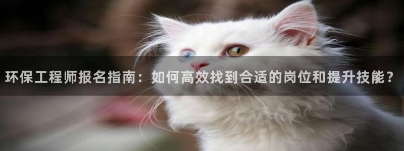 彩名堂怎么买准确率高一点：环保工程师