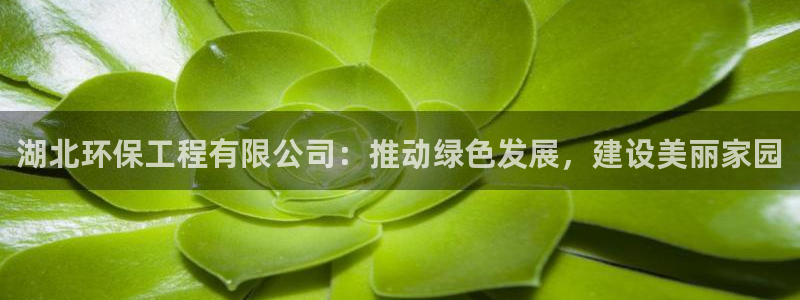 彩名堂开奖结果查询：湖北环保工程有限