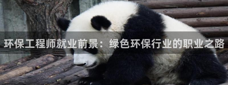 彩名堂苹果版怎么不能用了：环保工程师就业前景：绿色环保行业的