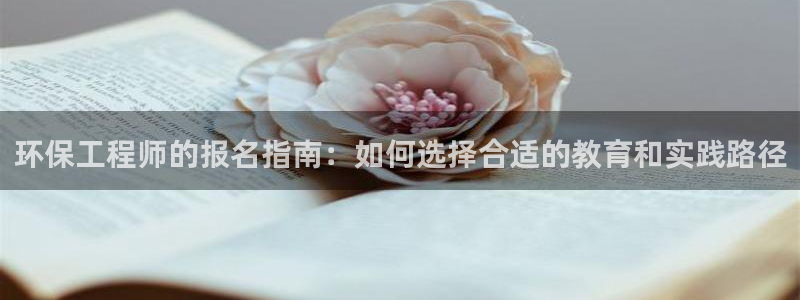 彩名堂还可以用吗：环保工程师的报名指南：如何选择合适的教育和