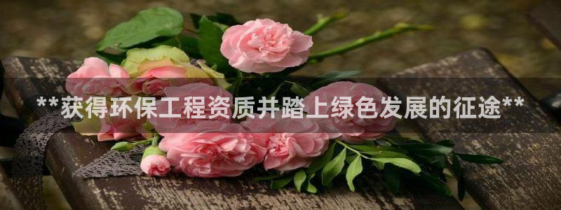 彩名堂怎么打最稳：**获得环保工程资