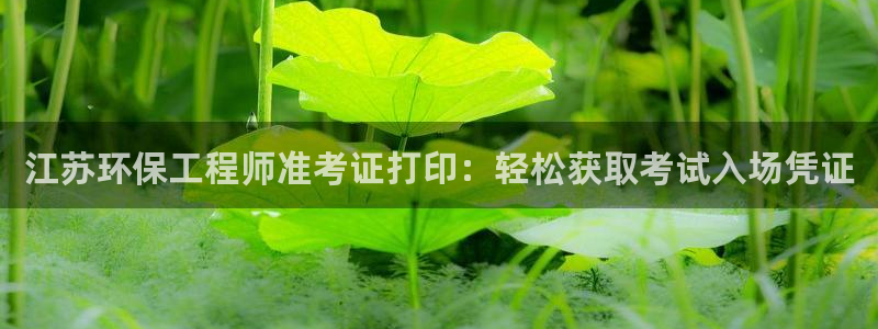 彩名堂4.3：江苏环保工程师准考证打