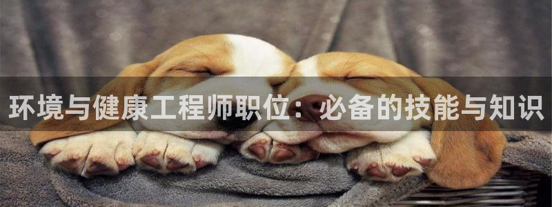 彩名堂安卓客户端官网：环境与健康工程