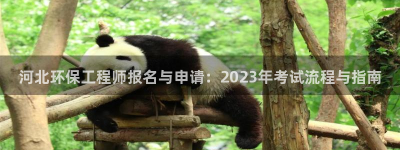 彩名堂为啥又不能用了：河北环保工程师报名与申请：2023年考