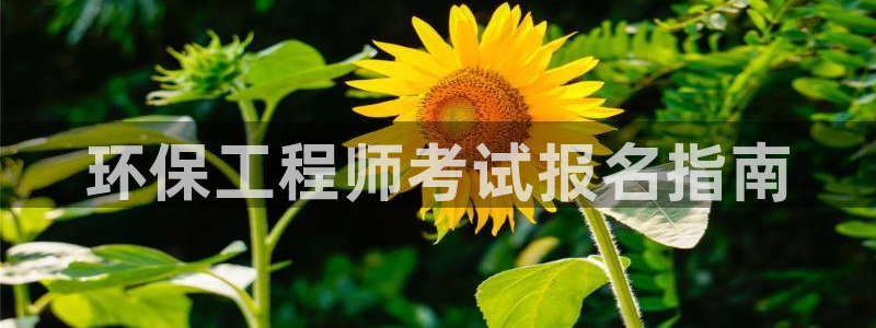 彩名堂计划怎么买胜率高：环保工程师考