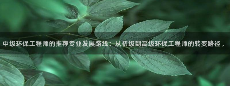 彩名堂好用还是千里马好用：中级环保工