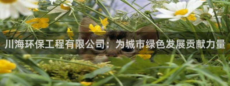 彩名堂怎么买准确率高一点：川海环保工