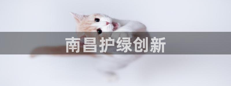 彩名堂最新计划下载地址：南昌护绿创新