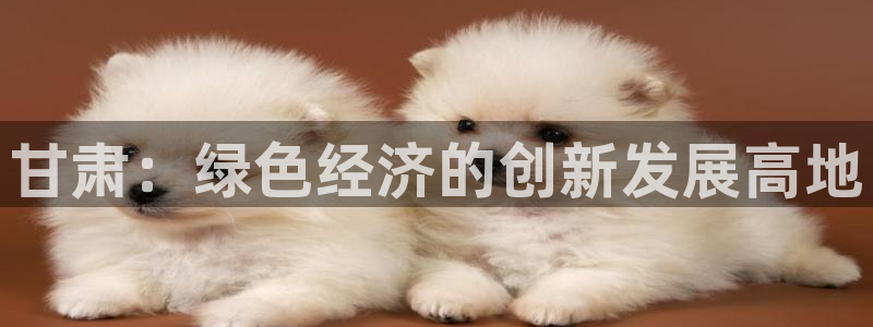 彩名堂官网计划：甘肃：绿色经济的创新