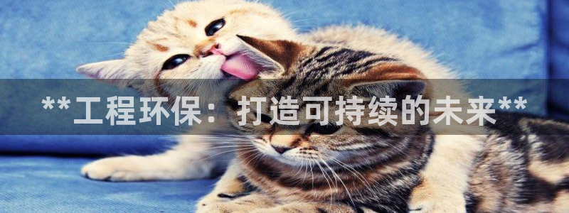 彩名堂怎么不能用了：**工程环保：打造可持续的未来**