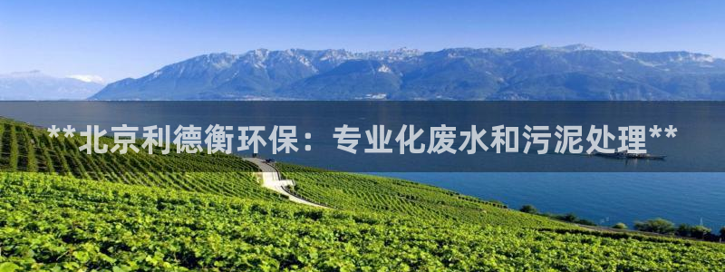 彩名堂加拿大怎么买准确率高：**北京利德衡环保：专业化废水和
