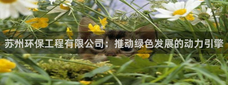 彩名堂是正规的公司吗：苏州环保工程有