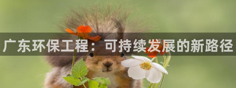 彩名堂客户端是永久免费吗：广东环保工