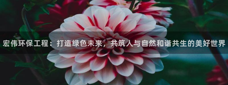 彩名堂5.0计划永久免费版为什么下不