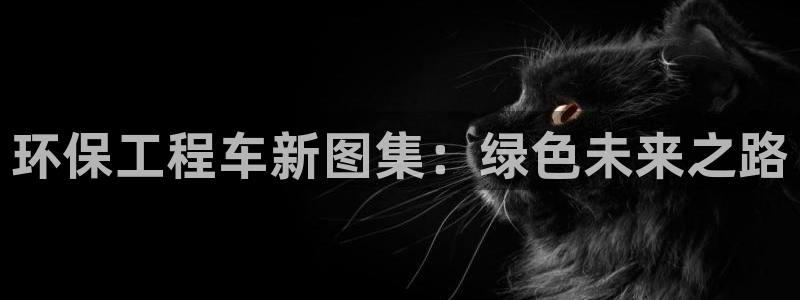 为什么彩名堂今天不能用：环保工程车新