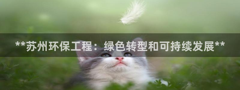 彩名堂5.0：**苏州环保工程：绿色转型和可持续发展**